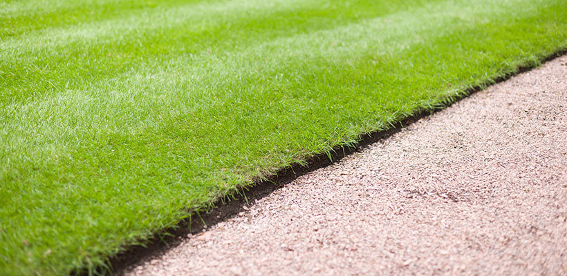 The LawnCare by Walter team can help you rethink shapes, set clean lines, and build a plan that fits how you actually use your yard.
