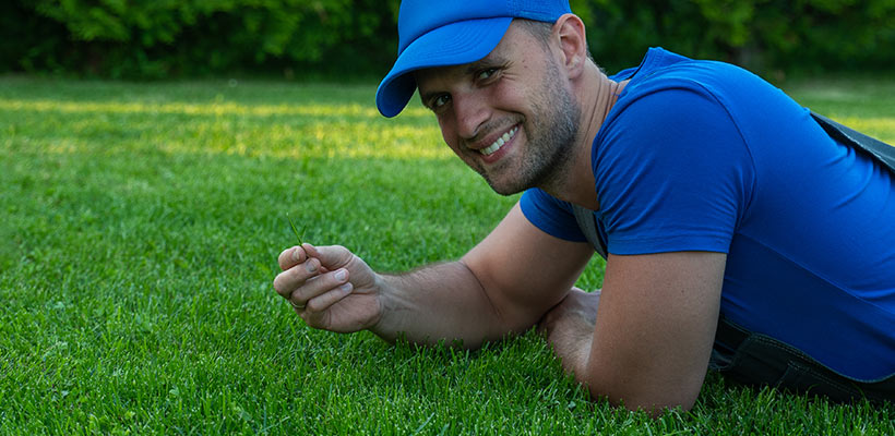 The goal is not perfection—it's resilience. Thick, well-rooted grass can handle a big gathering and still look good the week after.