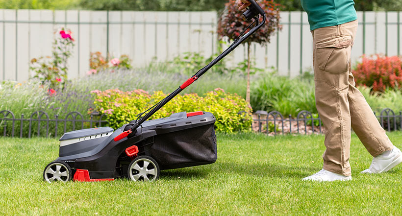 Mowing is the basic lawn task most homeowners handle themselves.