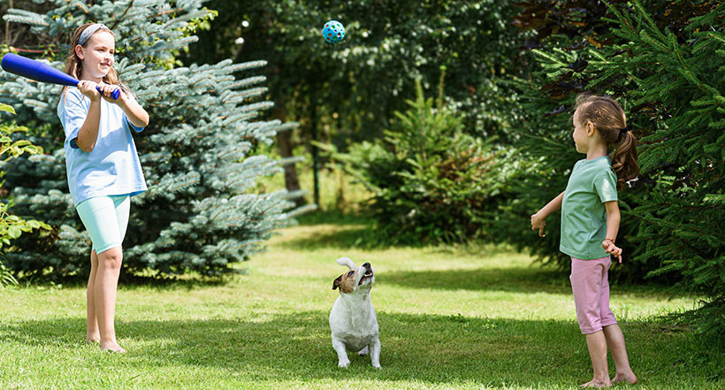 Find the perfect balance between having a nice lawn and enjoying life so that you do not have to choose between the two.