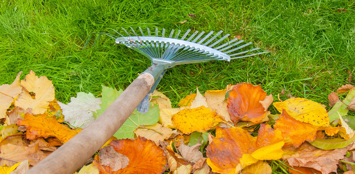 How to Rake in the Wins this Fall