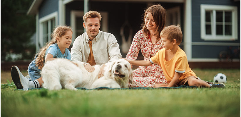 Family spends time with their dog in the yard. Some bare patches are not random. They are chronic. Urine spots from dogs tend to return to the same area.