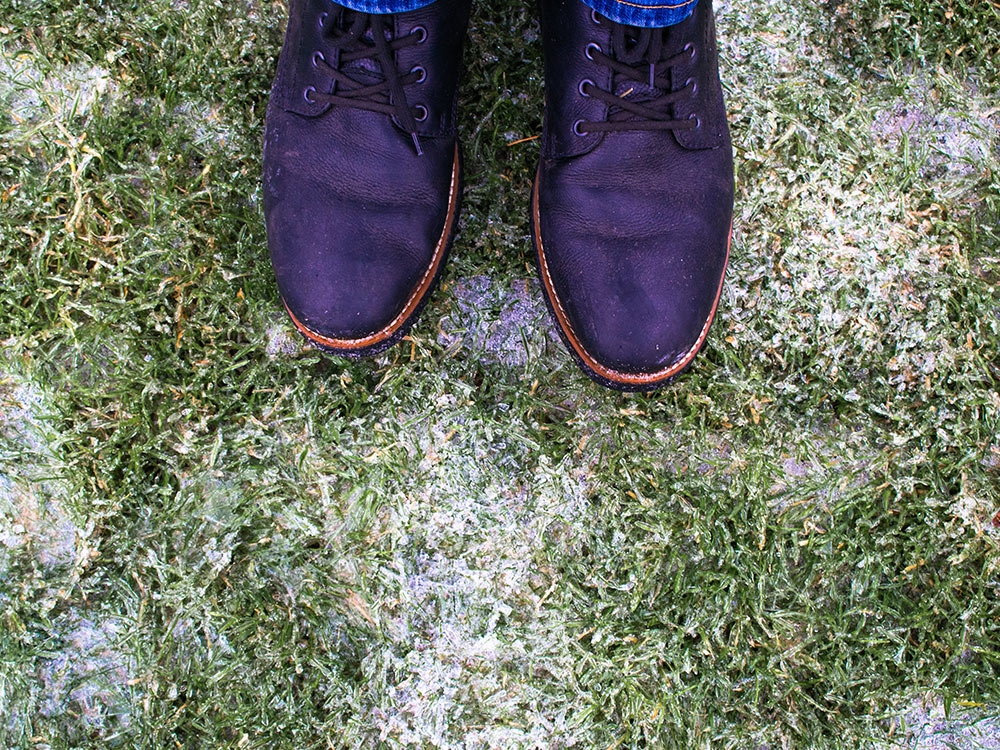 Avoid walking on your frosted lawn.