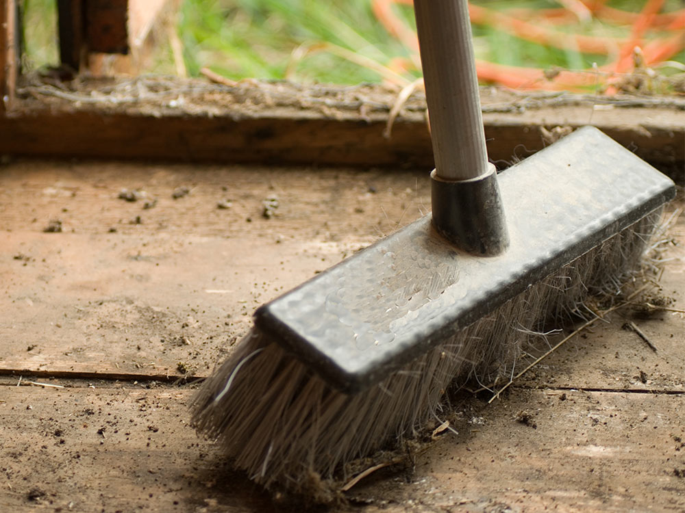 Sweep and organize your storage area. Take inventory on supplies such as gloves, garden clogs, etc.