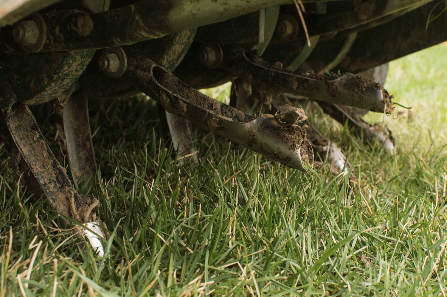 Schedule your core aeration, overseeding and fall cleanup appointments with LawnCare by Walter today.